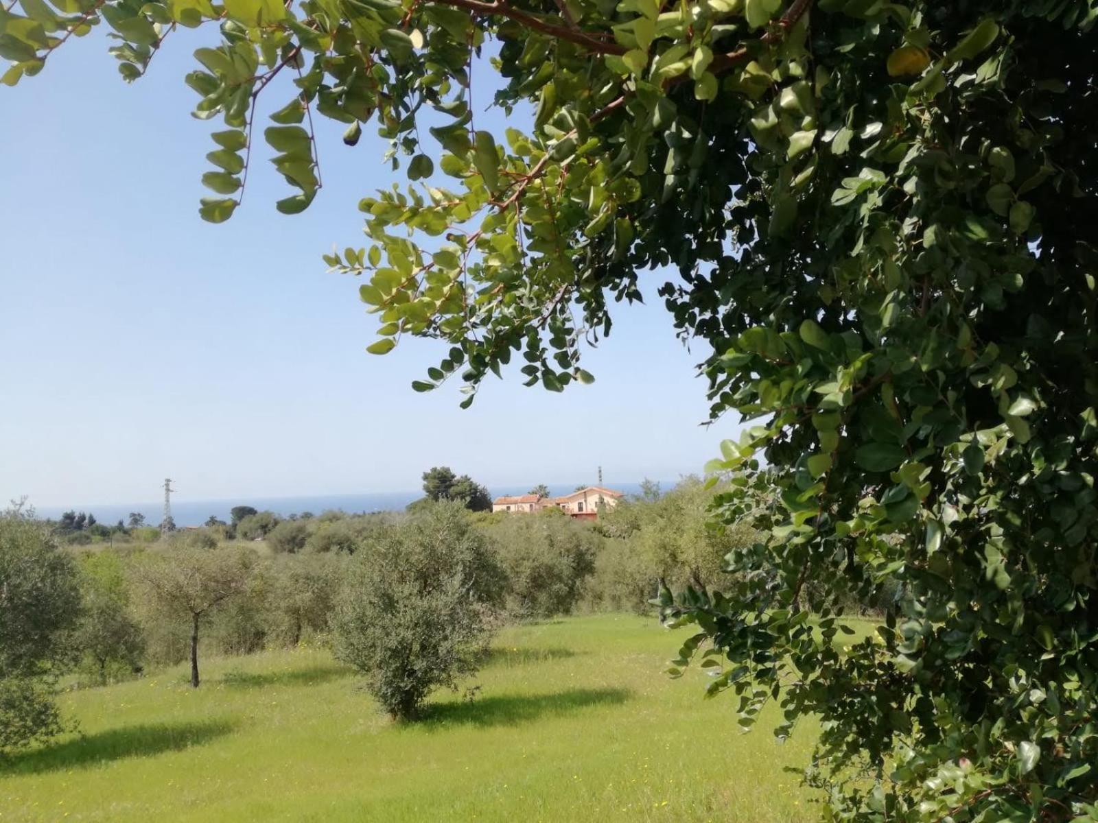 Il Casale Il Sole E La Margherita Campofelice Di Roccella Exteriör bild